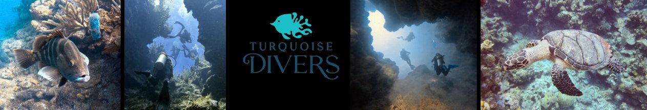 Turqouise Divers images